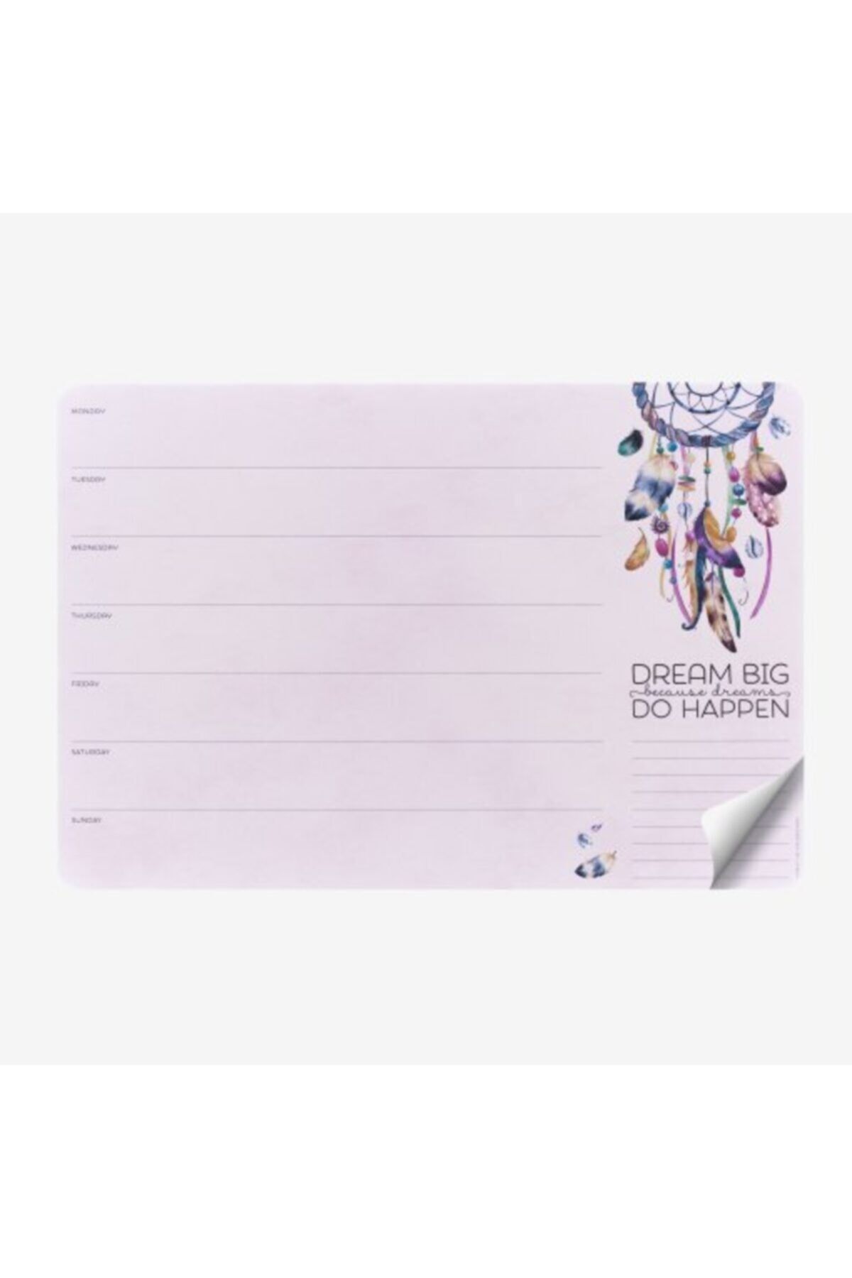 Smart Notes Masaüzeri Planlayici Catch