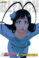 Bleach (3-in-1 Edition), Vol. 22: Includes vols. 64, 65 & 66