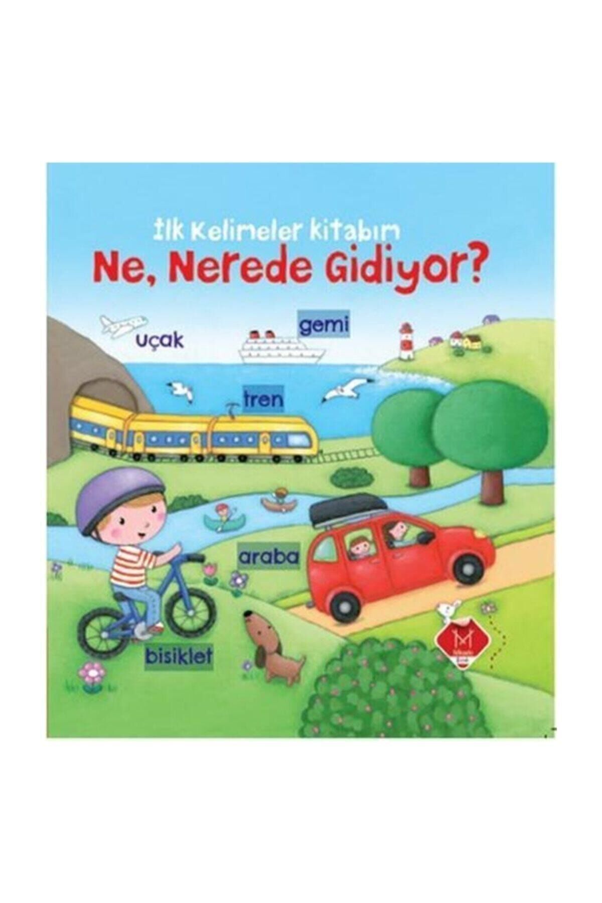 Ilk Kelimeler Kitabım Ne, Nerede Gidiyor?