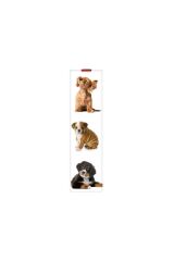 Ayrac-lg Book Dogs