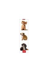 Ayrac-lg Book Dogs