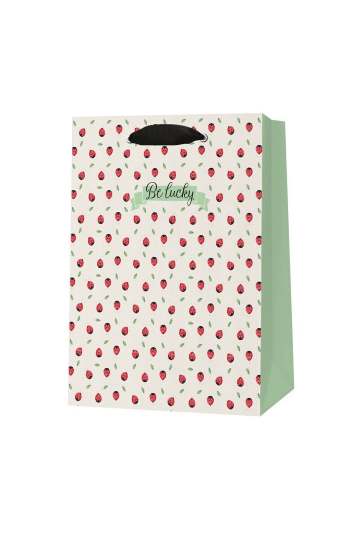 Büyük Boy Karton Poşet Hava Ladybugs