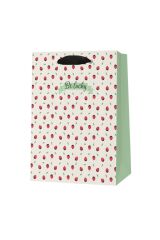 Büyük Boy Karton Poşet Hava Ladybugs