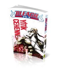 Bleach 45. Cilt