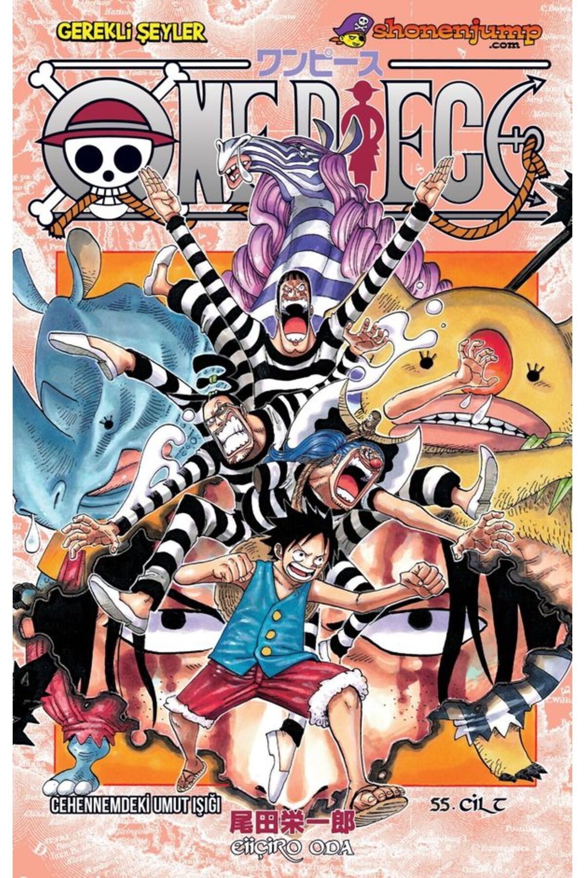 One Piece 55. Cilt