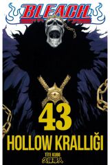 Bleach 43. Cilt