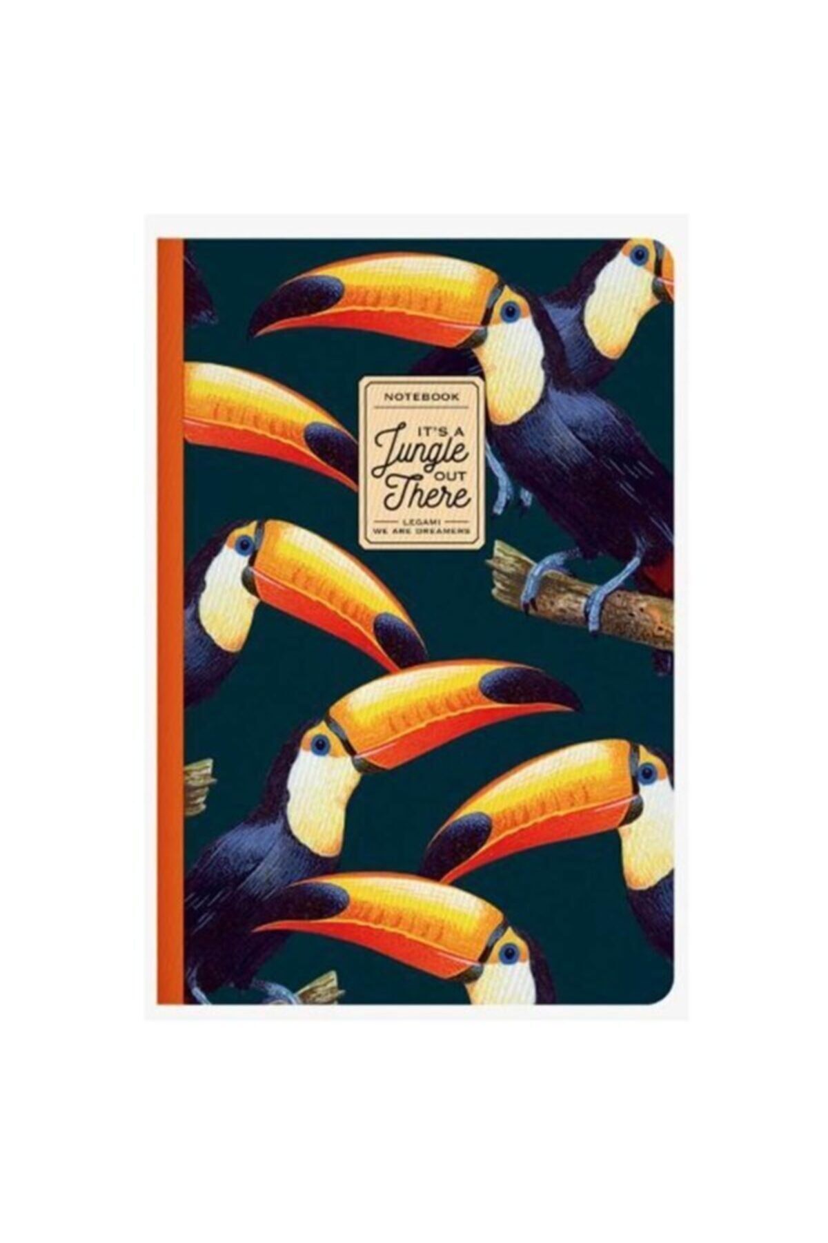 Defter-lg Okul Def A5 Çizgisiz Toucan