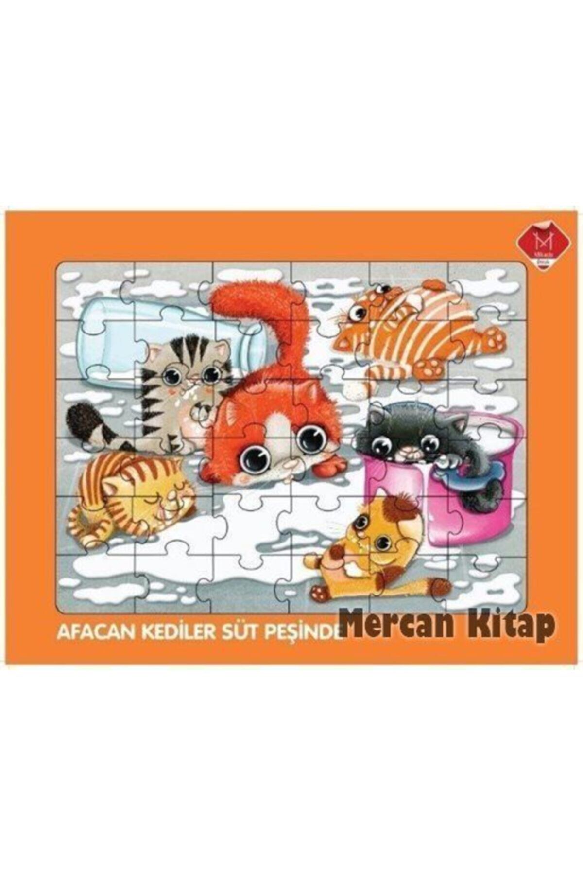 Afacan Kediler Süt Peşinde
