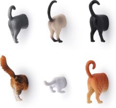 6'lı Kedi Magnet