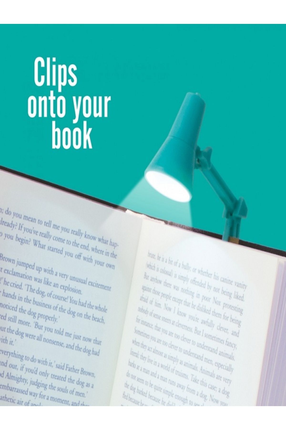 The Little Book Light - Mint