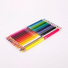 Duo Bicolor Boya Kalemı 12'li