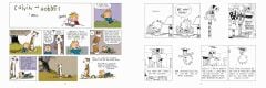 The Calvin and Hobbes Portable Compendium Set 4