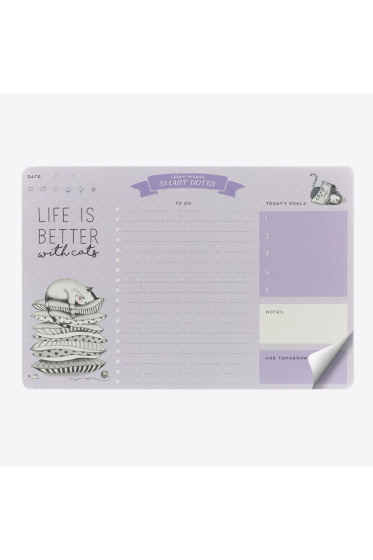 Smart Notes Paper Mp Ve Notepad Kedi