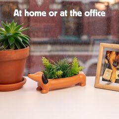 Kikkerland Köpek Saksı