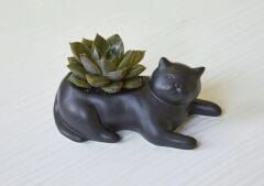 Kikkerland Vazo Siyah Kedi