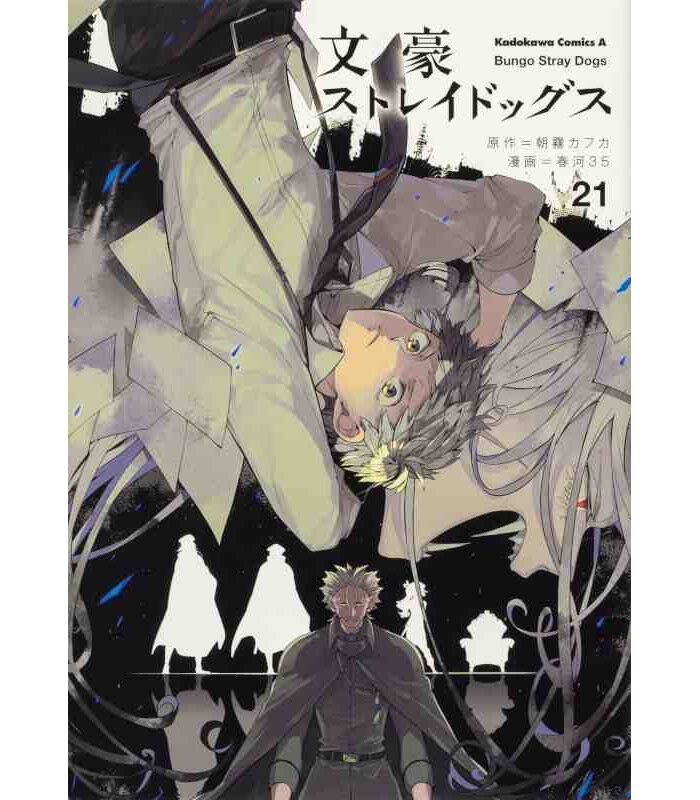 Bungo Stray Dogs 21 -- Japonca manga