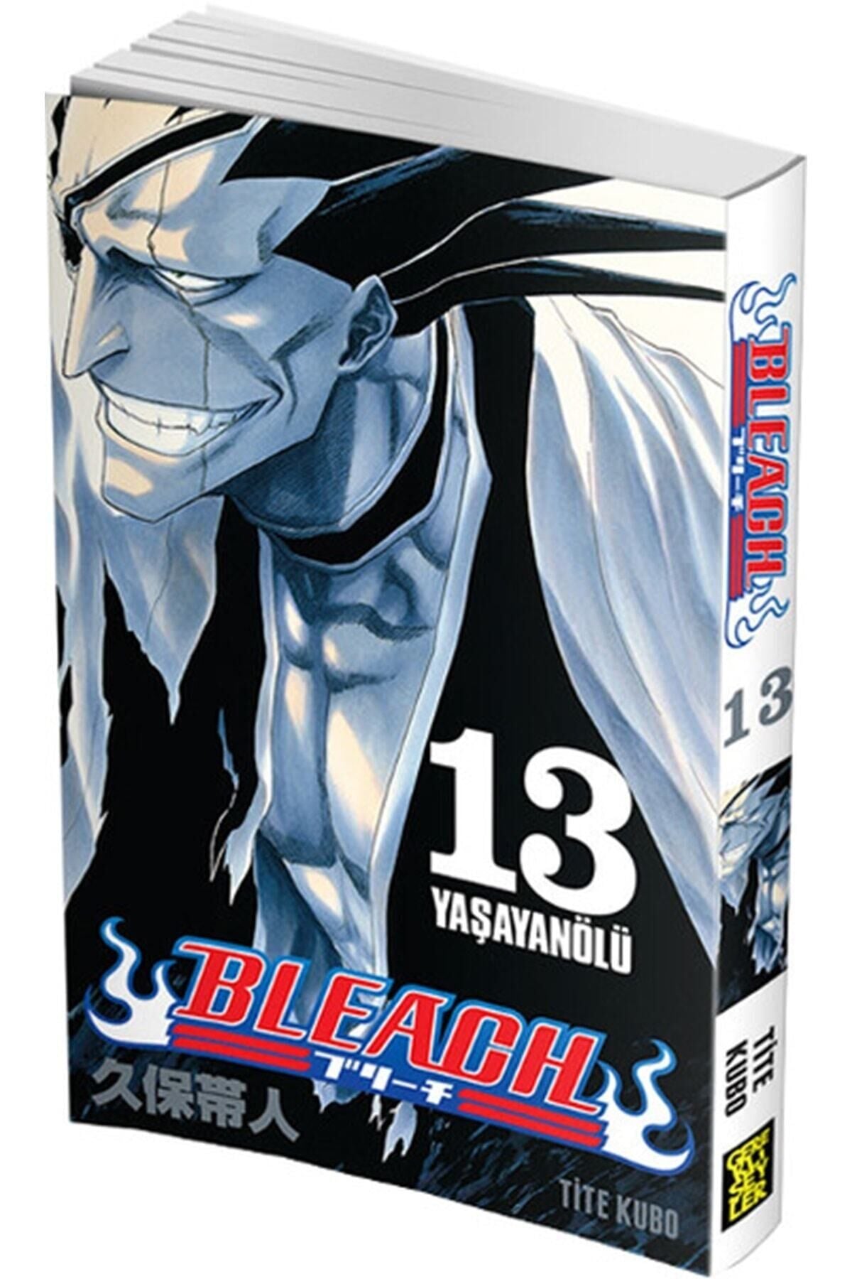Bleach 13. Cilt