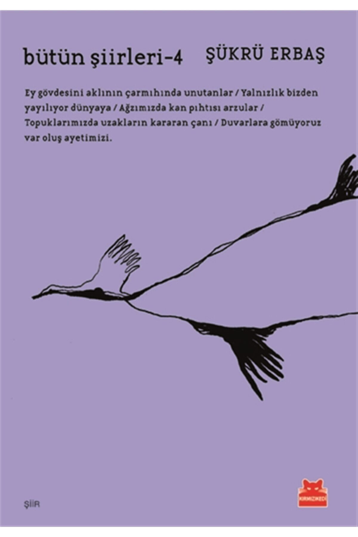 Bütün Şiirleri 4 - Şükrü Erbaş 9786052987872