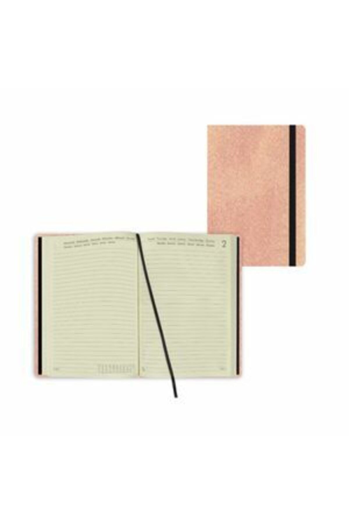 Ajanda-lg Kucuk Gunluk 16 Ay 2021/2022 Rose Gold