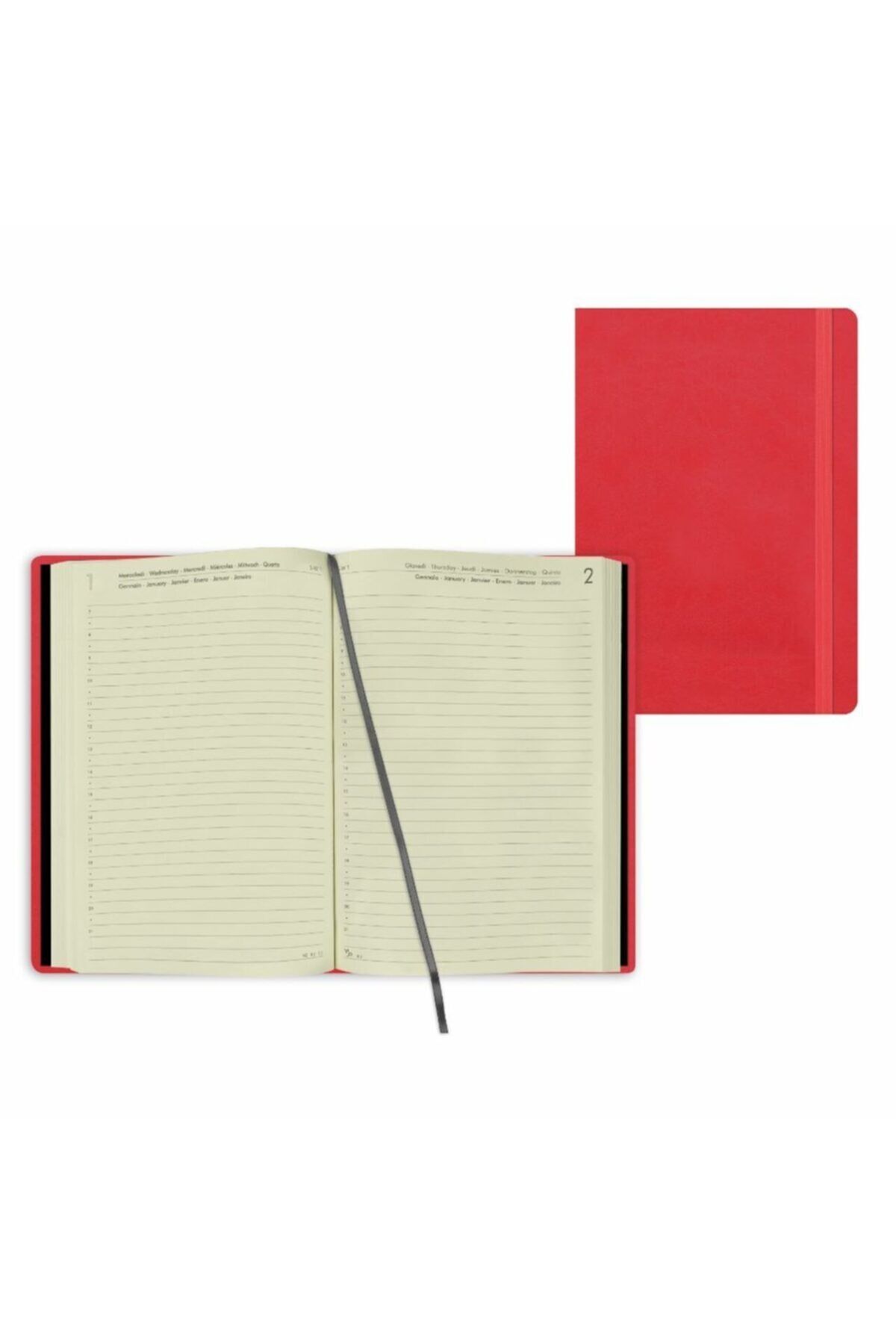 Ajanda-lg Kucuk Gunluk 16 Ay 2021/2022 Neon Mercan