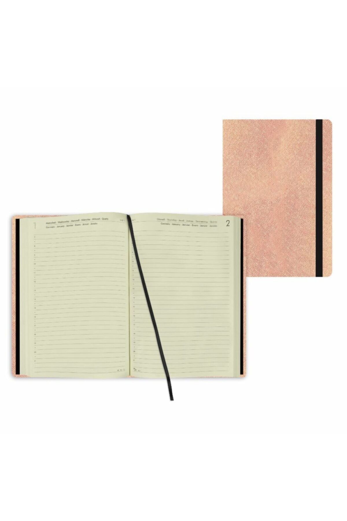 Ajanda-lg Orta Gunluk 16 Ay 2021/2022 Rose Gold