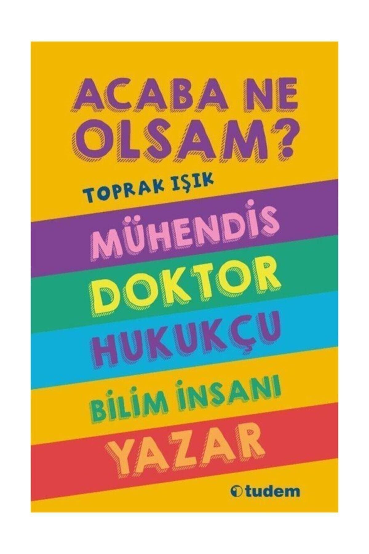 Acaba Ne Olsam Mühendis Doktor Hukukçu Bilim İnsanı Yazar