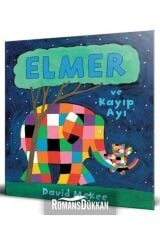 Elmer ve Kayıp Ayı