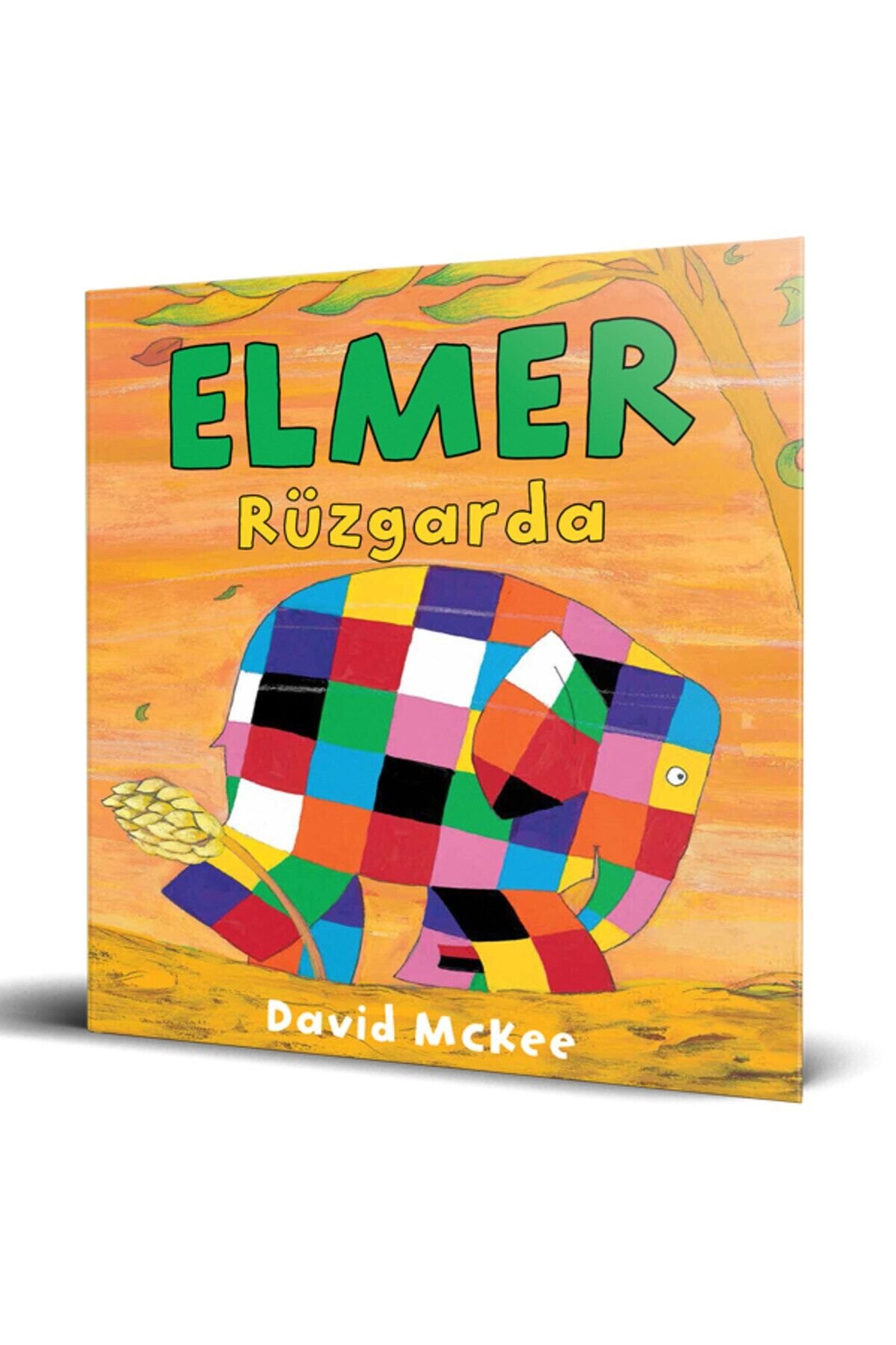 Elmer Rüzgarda