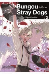 Bungou Stray Dogs 12