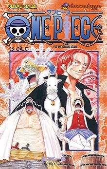 One Piece 25. Cilt