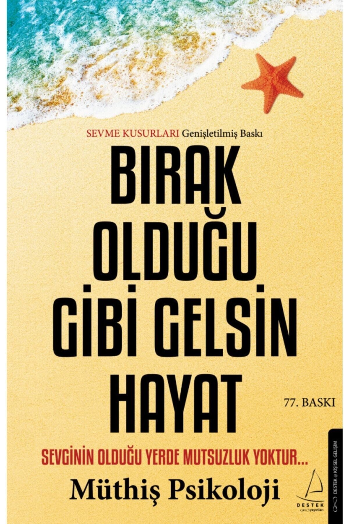 Bırak Olduğu Gibi Gelsin Hayat - Sevme Kusurları Genişletilmiş Baskı