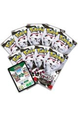 Pokemon TCG Scarlet & Violet 10.5 Beyaz Flare Elite Eğitmen Kutusu